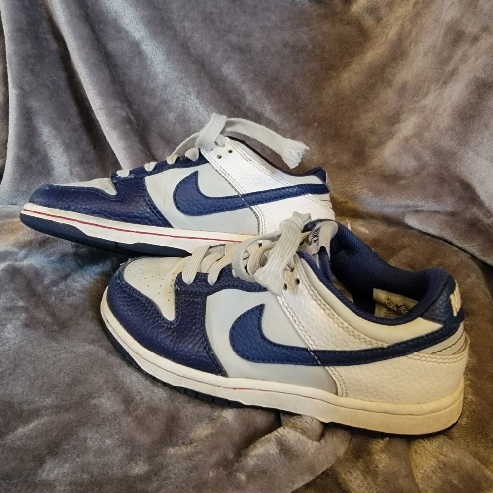 Nike Dunk Low Kids Size 13C Blue White Good Tumbled Leather DC9562-400